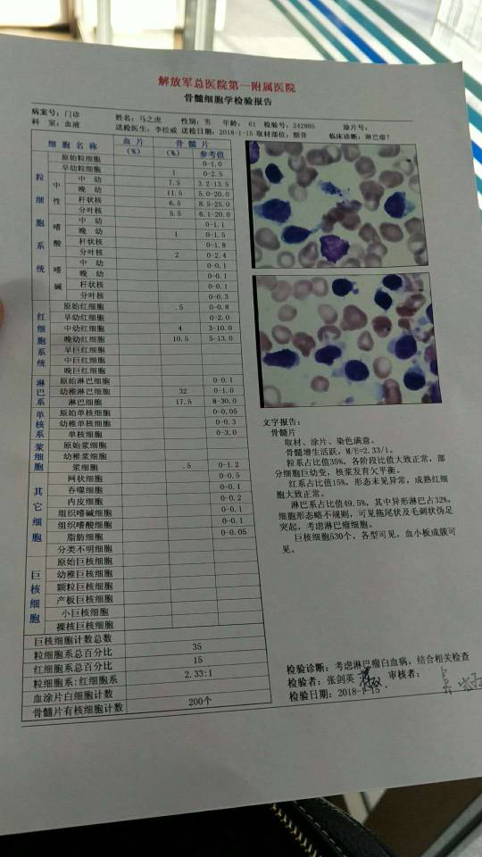 各位病友帮忙分析一下骨髓穿刺报告