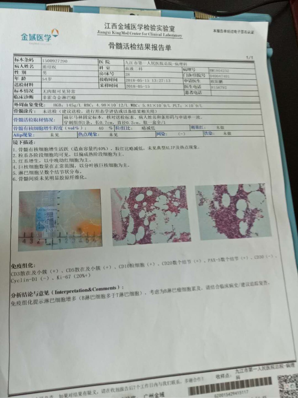 骨髓穿刺结果各位帮忙看看吧