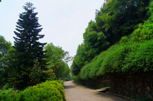 DSC00210_副本.jpg
