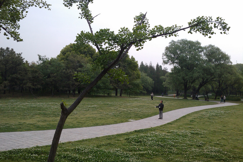 IMAG0276.jpg