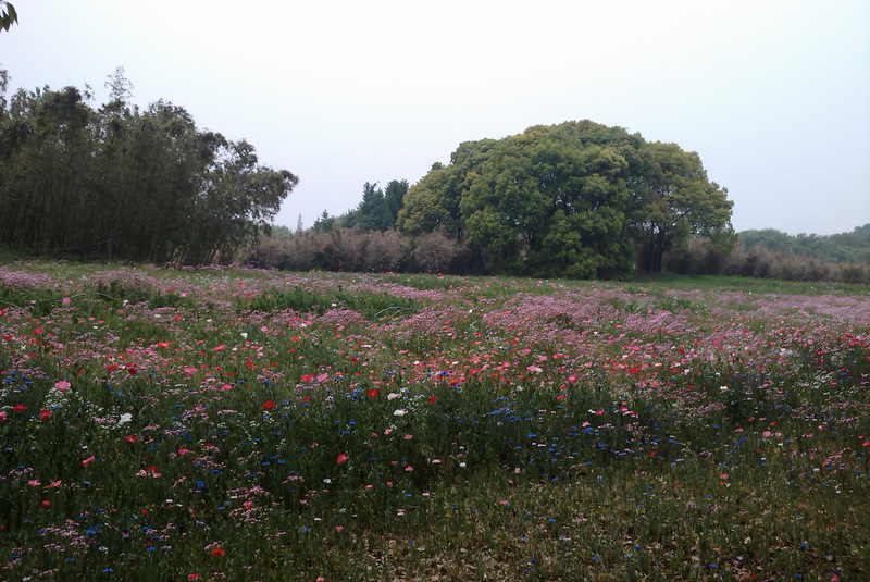 IMAG0309.jpg