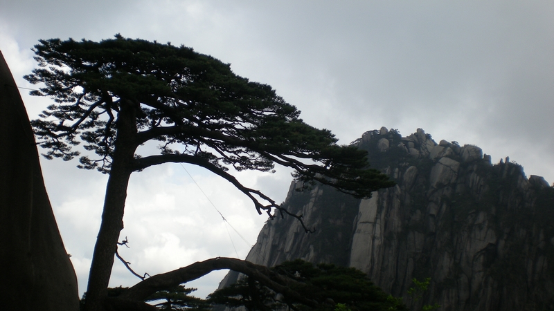 黄山 155.jpg