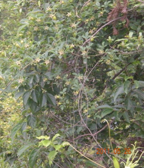 01.jpg