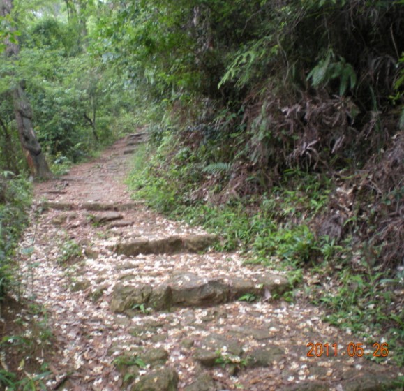 山路弯弯06.jpg