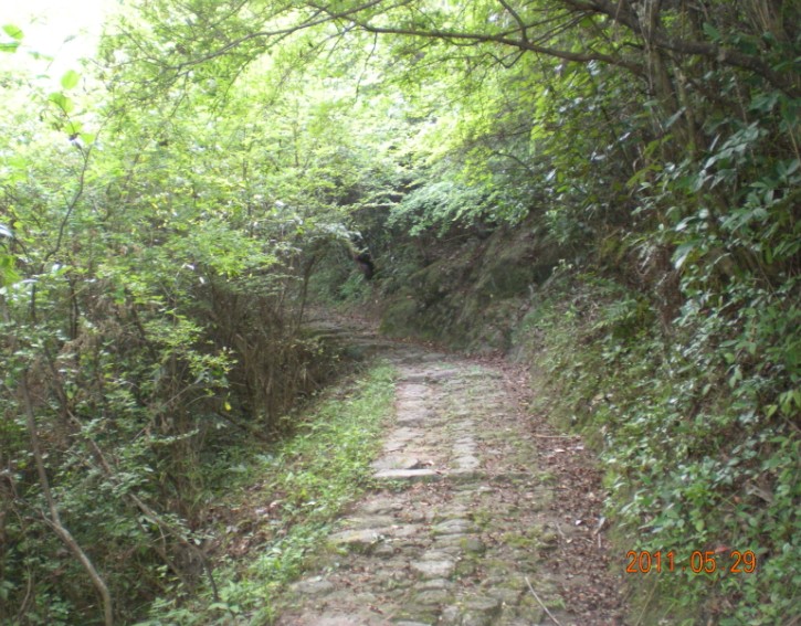 山路弯弯03.jpg