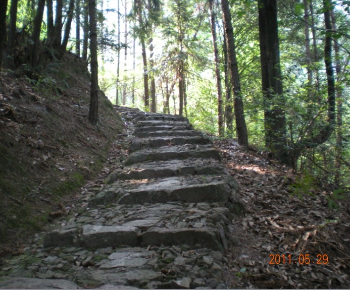 山路弯弯05.jpg