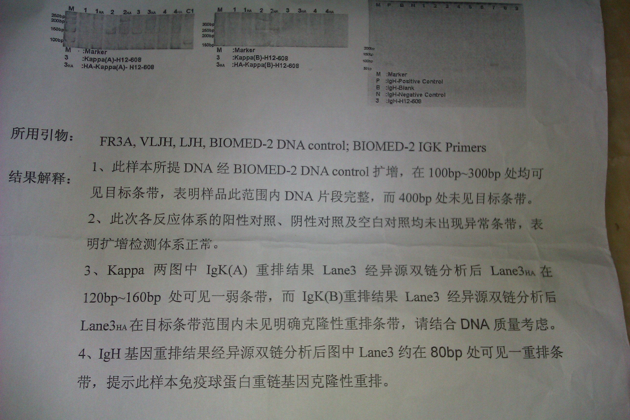 IMAG0037.jpg