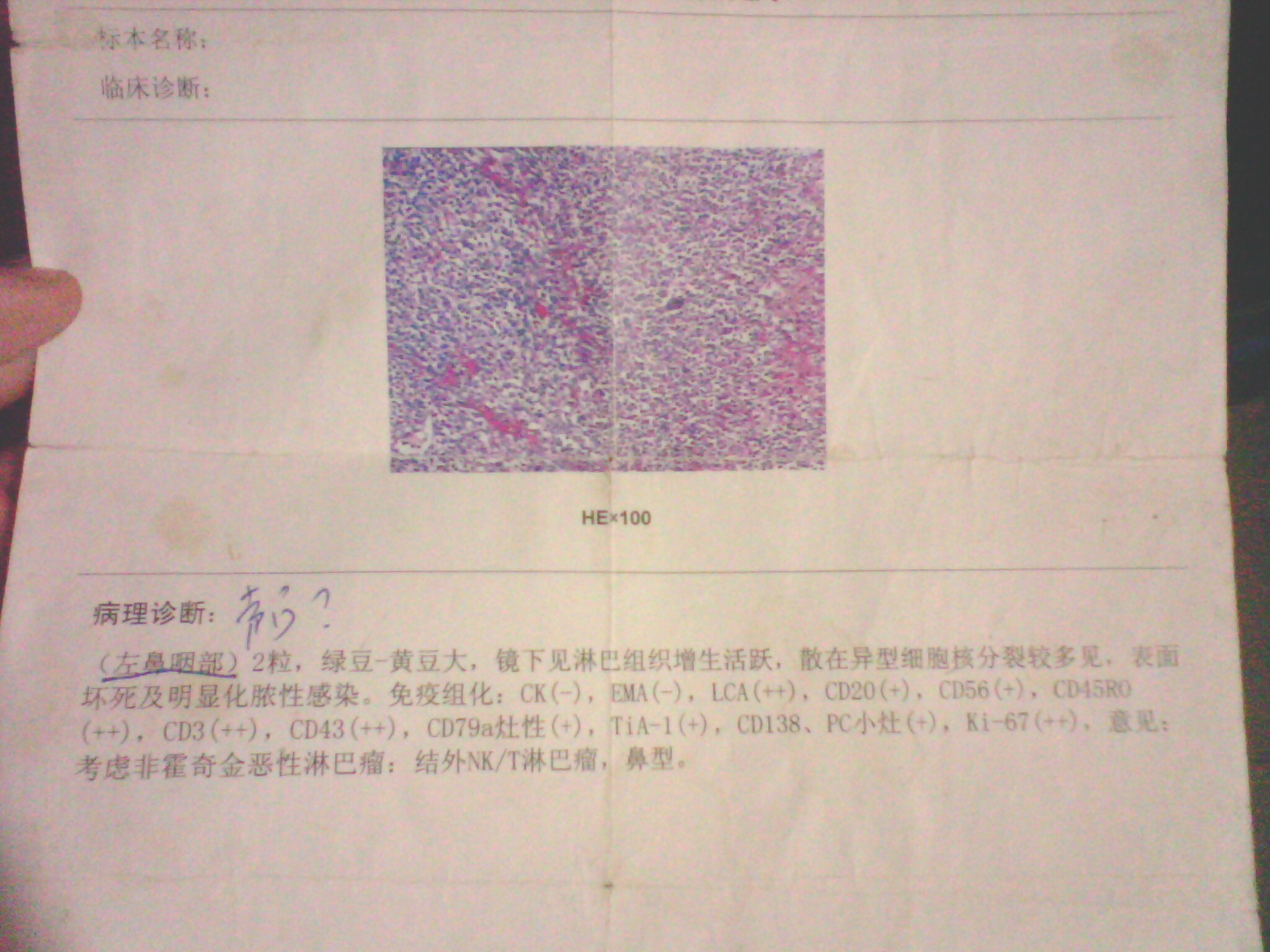 IMG0063A.jpg