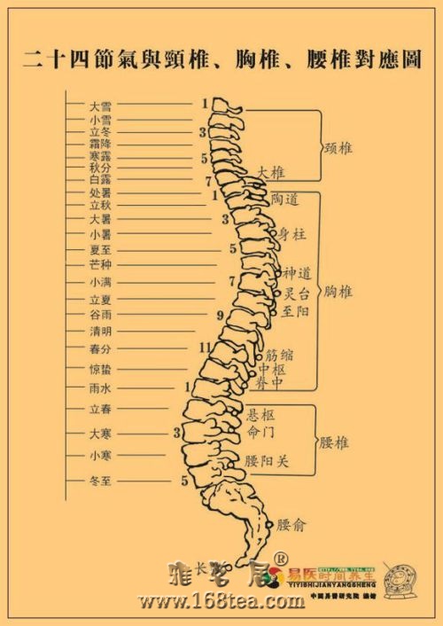 椎位2.jpg