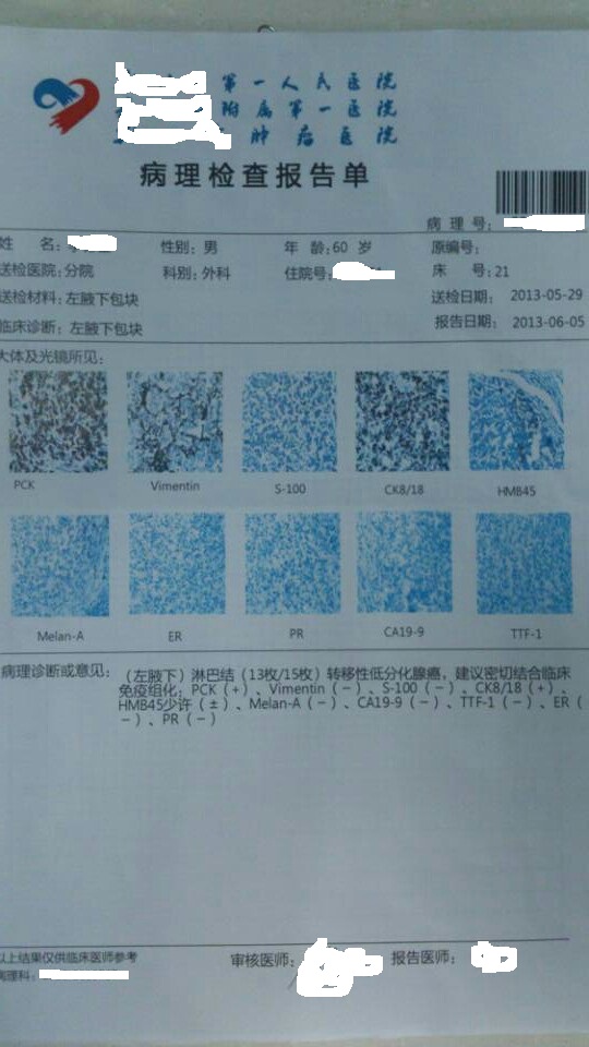 化验结果