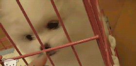 u=801841757,2322998692&fm=15&gp=0.gif