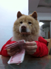 22a7c5c451da81cbce2d8d5a5366d0160b2431a3.gif