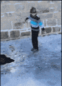 u=4016740117,3227054940&fm=15&gp=0.gif