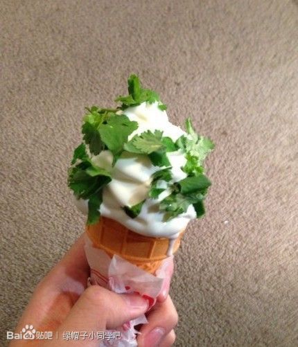 精选新鲜爽脆香菜~搭配原味冰激凌的柔滑口感！市场零售价999美金一盎司的香菜冰激凌！！！是你们这种穷逼吃 ...