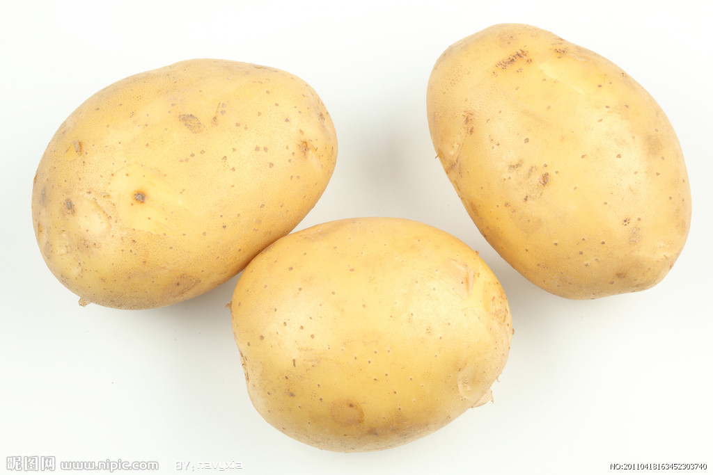 土豆2.jpg