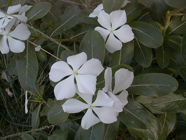 image20.jpg