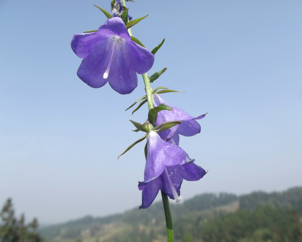 DSCF7274_副本.jpg