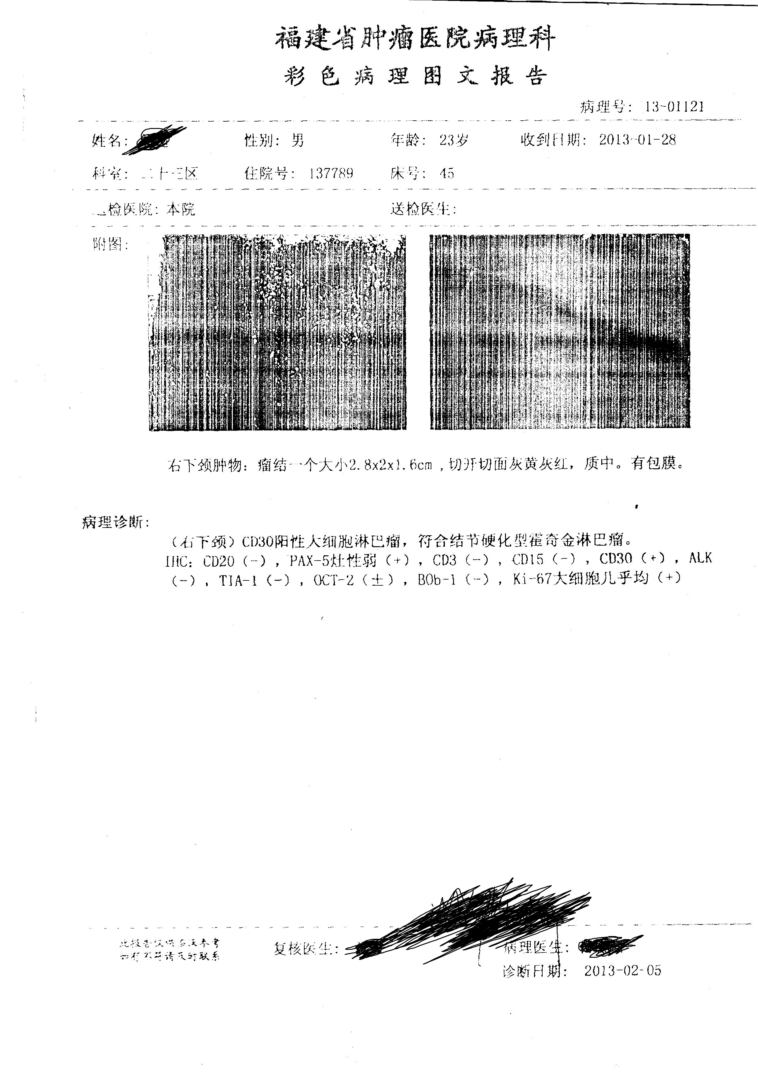 img013.jpg