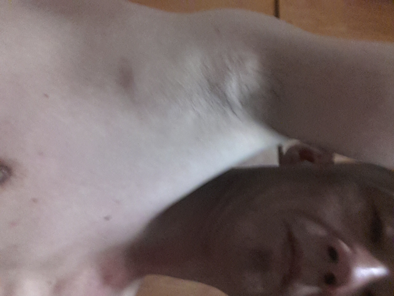 20140108_233354.jpg