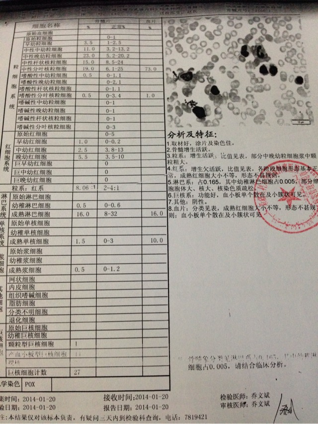 20140126124227_80786.jpg