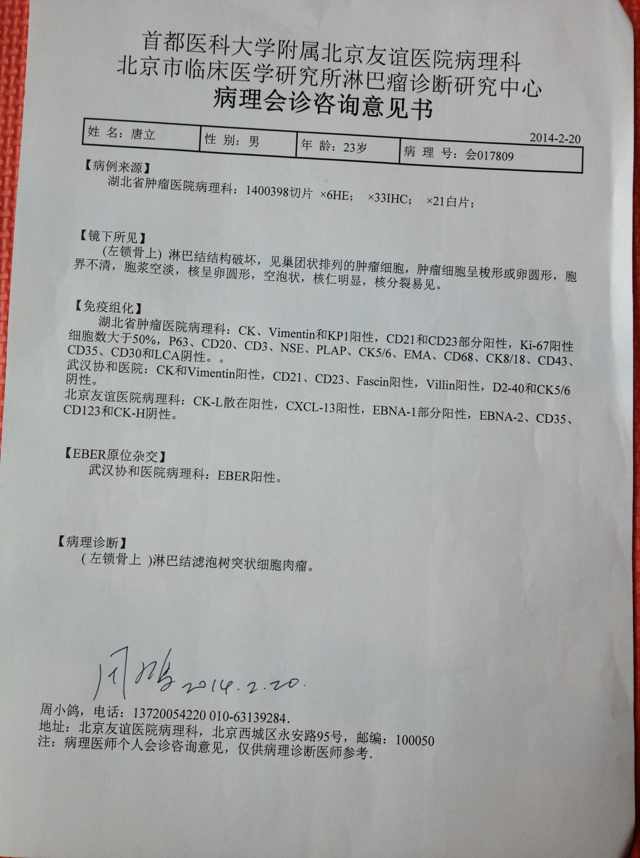 周小鸽