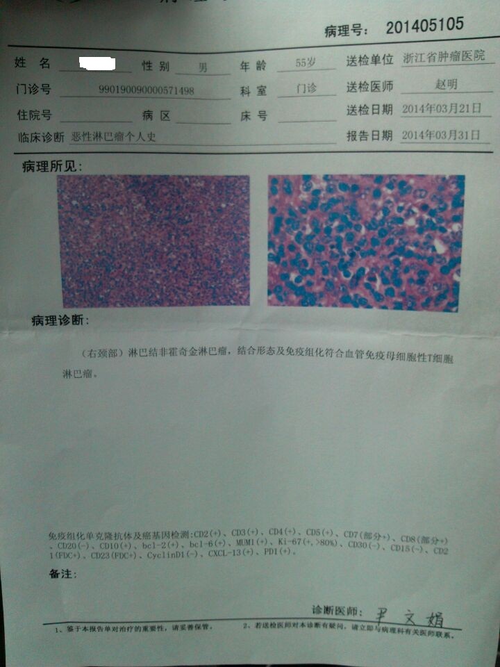 活检报告