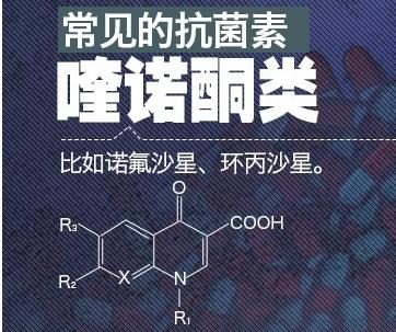 360截图20030102033729625.jpg