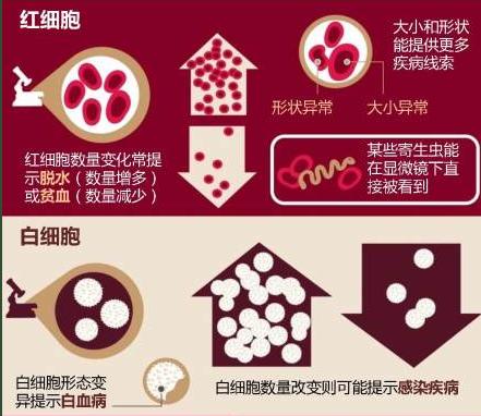 360截图20030104072014546-2.jpg