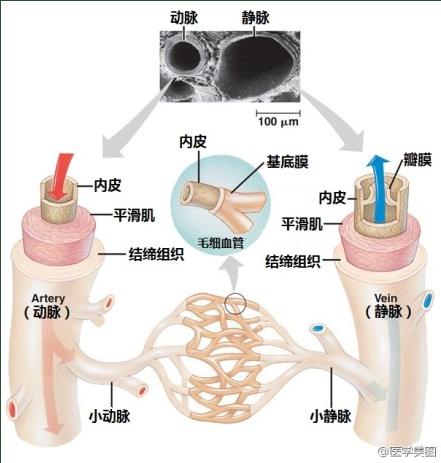 360截图20030104072440906.jpg