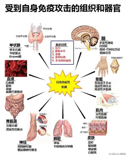 360截图20030104194844265.jpg