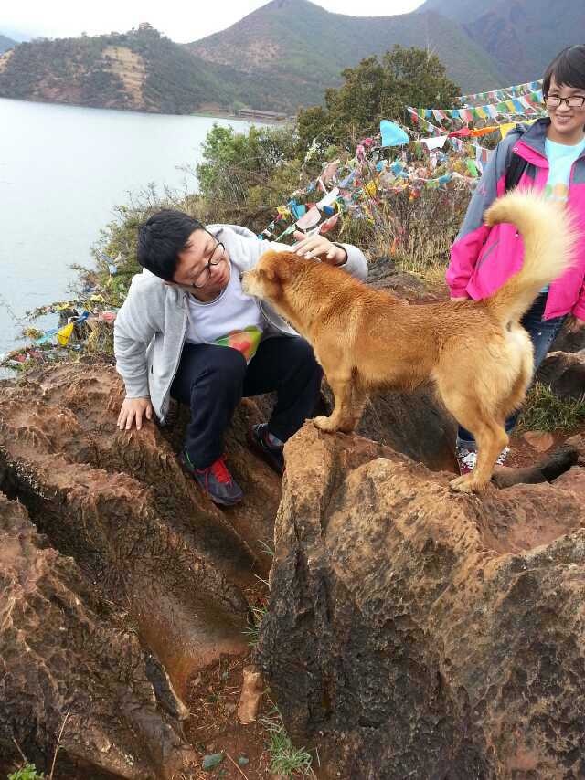 灰机和狗狗比较要好，呵呵！