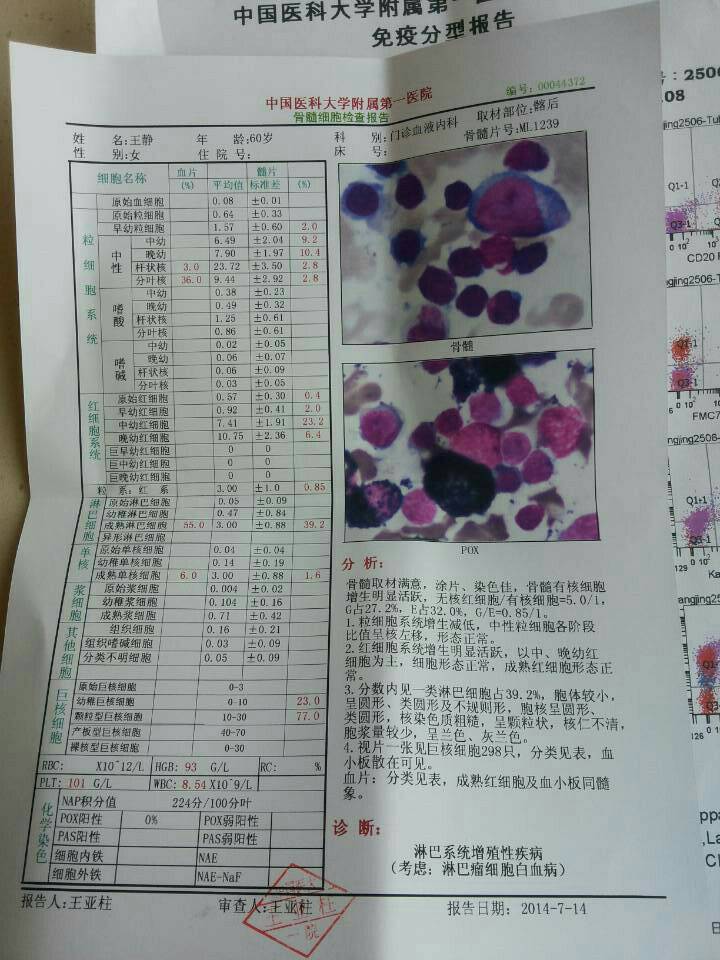 骨髓细胞检查报告