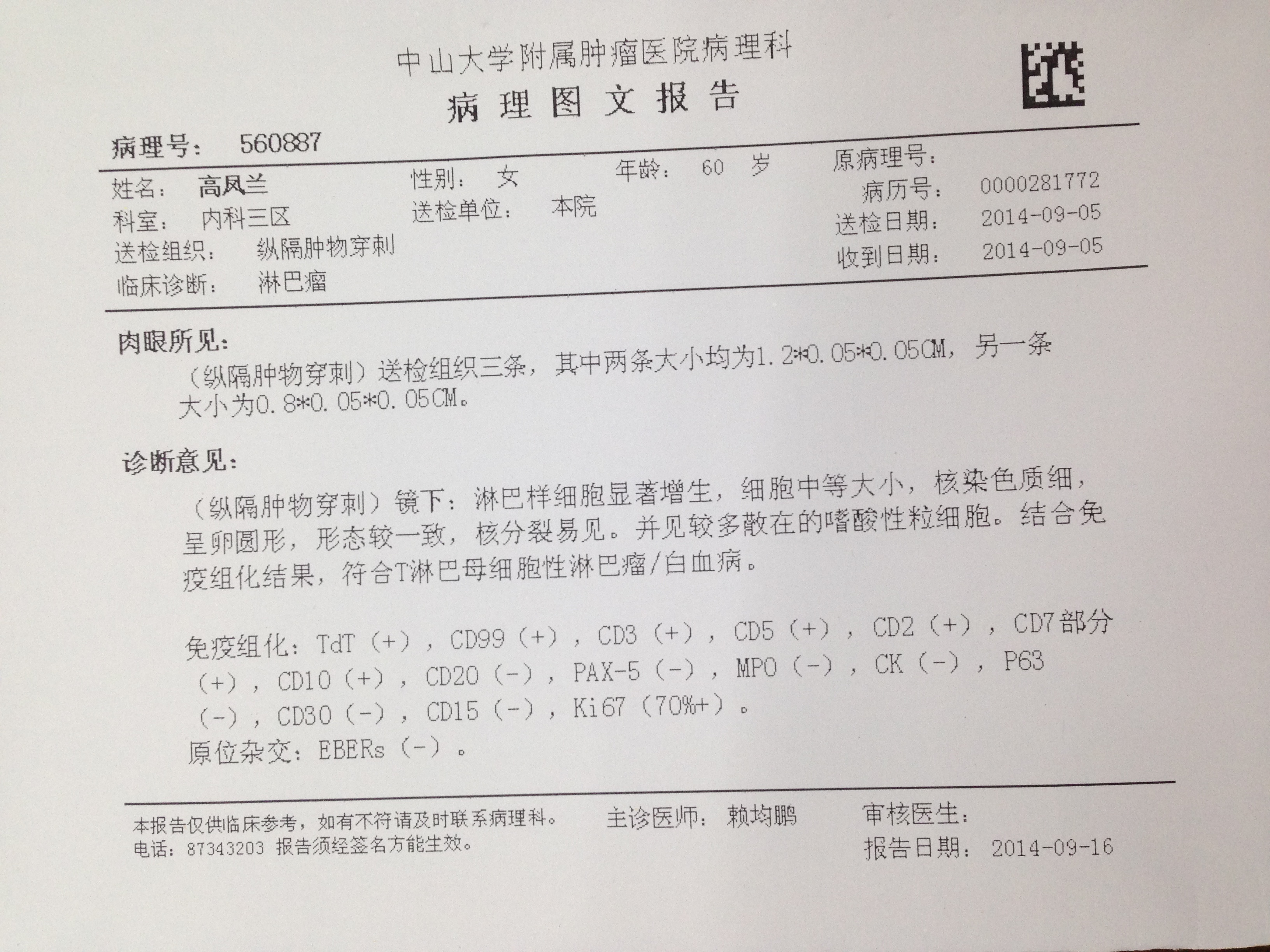 病理报告