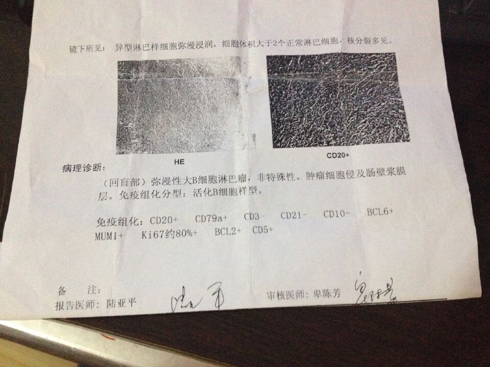 病理报告