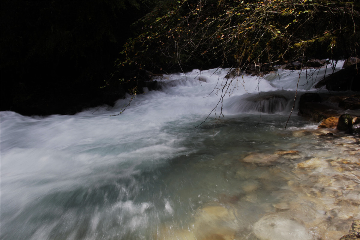 _MG_0117.JPG