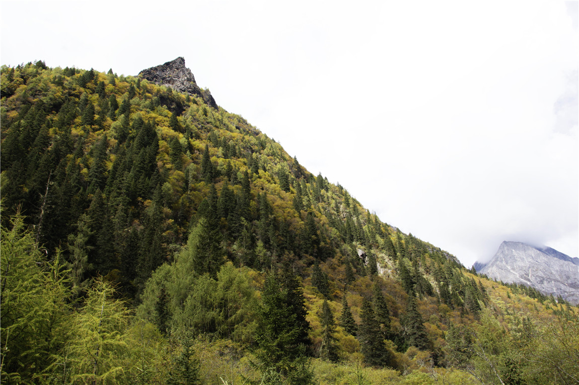 _MG_0401.JPG