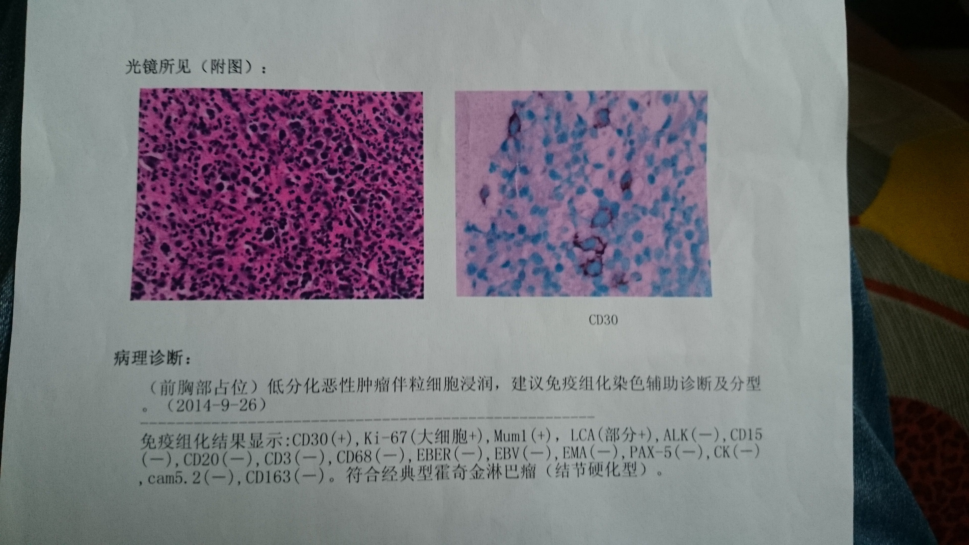 QQ图片20141024162608.jpg