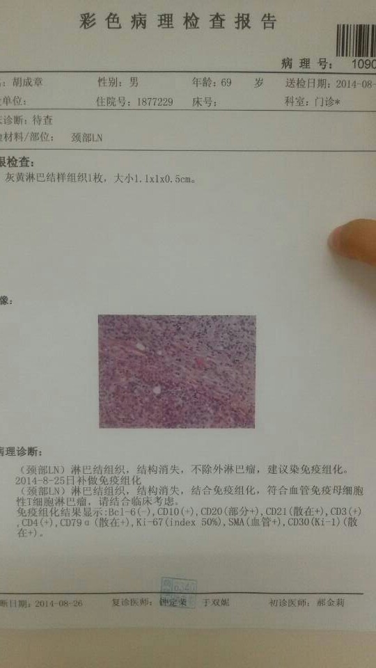 mmexport1409025056280.jpg