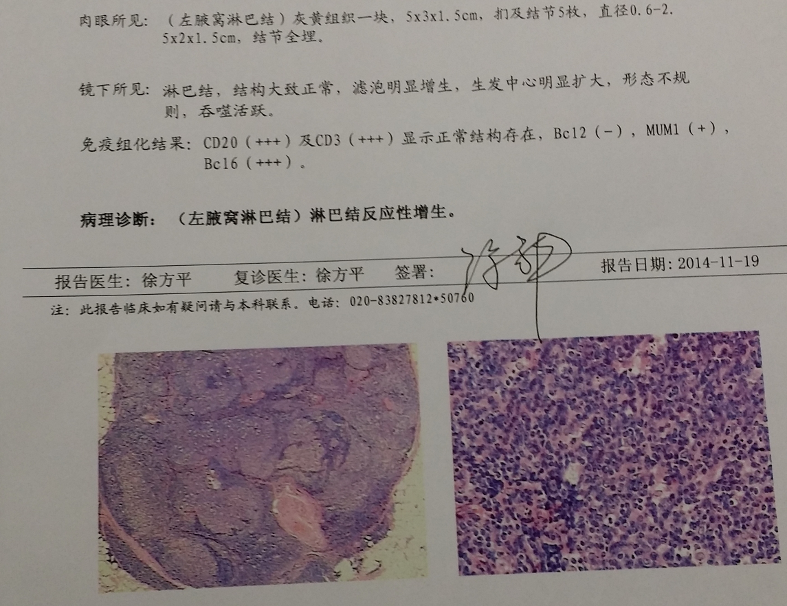 QQ截图20141119132208.png