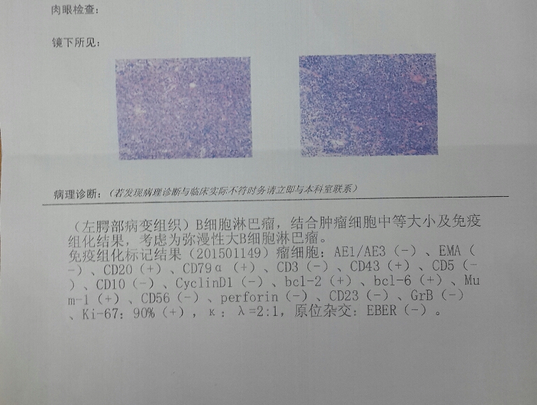155058gxxnronnxho8hhzp.jpg