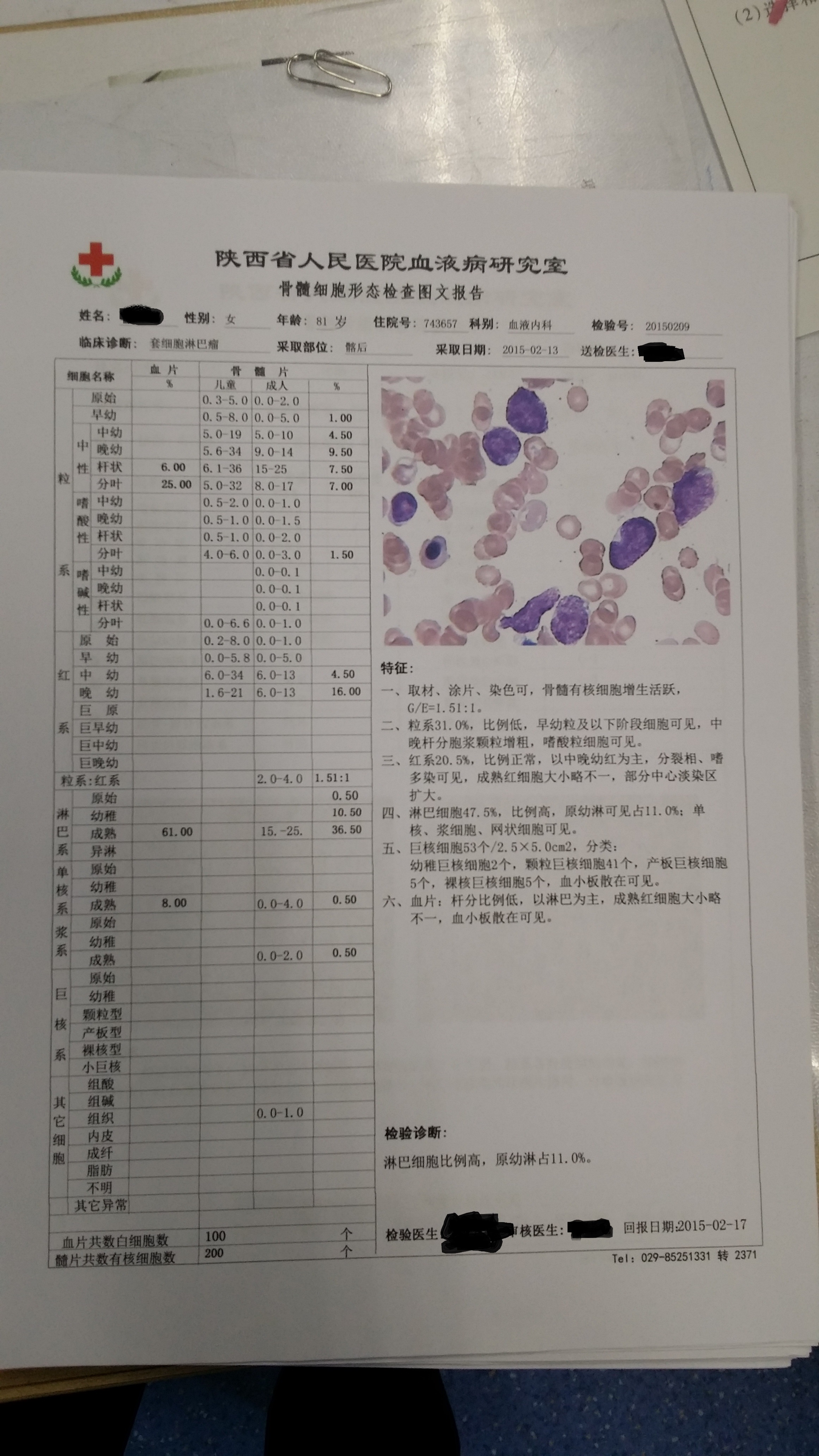 新作的骨穿报告