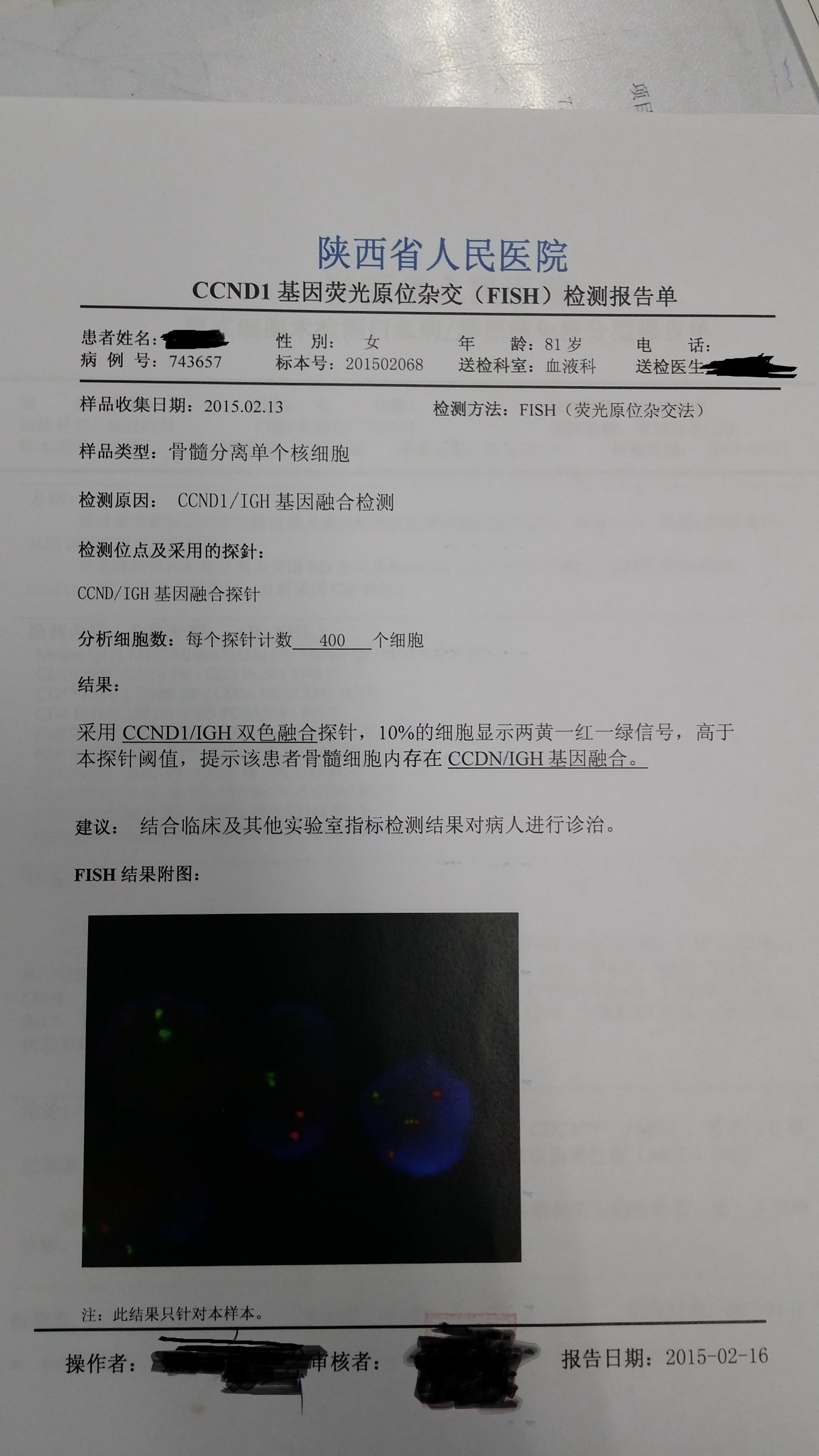 CCND1 FISH报告