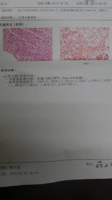 191116iqp20tp1t2kkhh2x.png