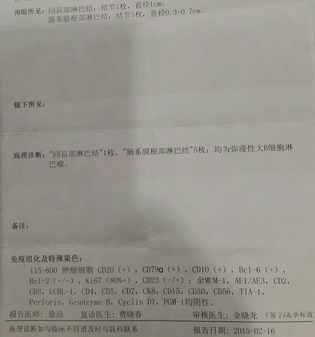 病理报告