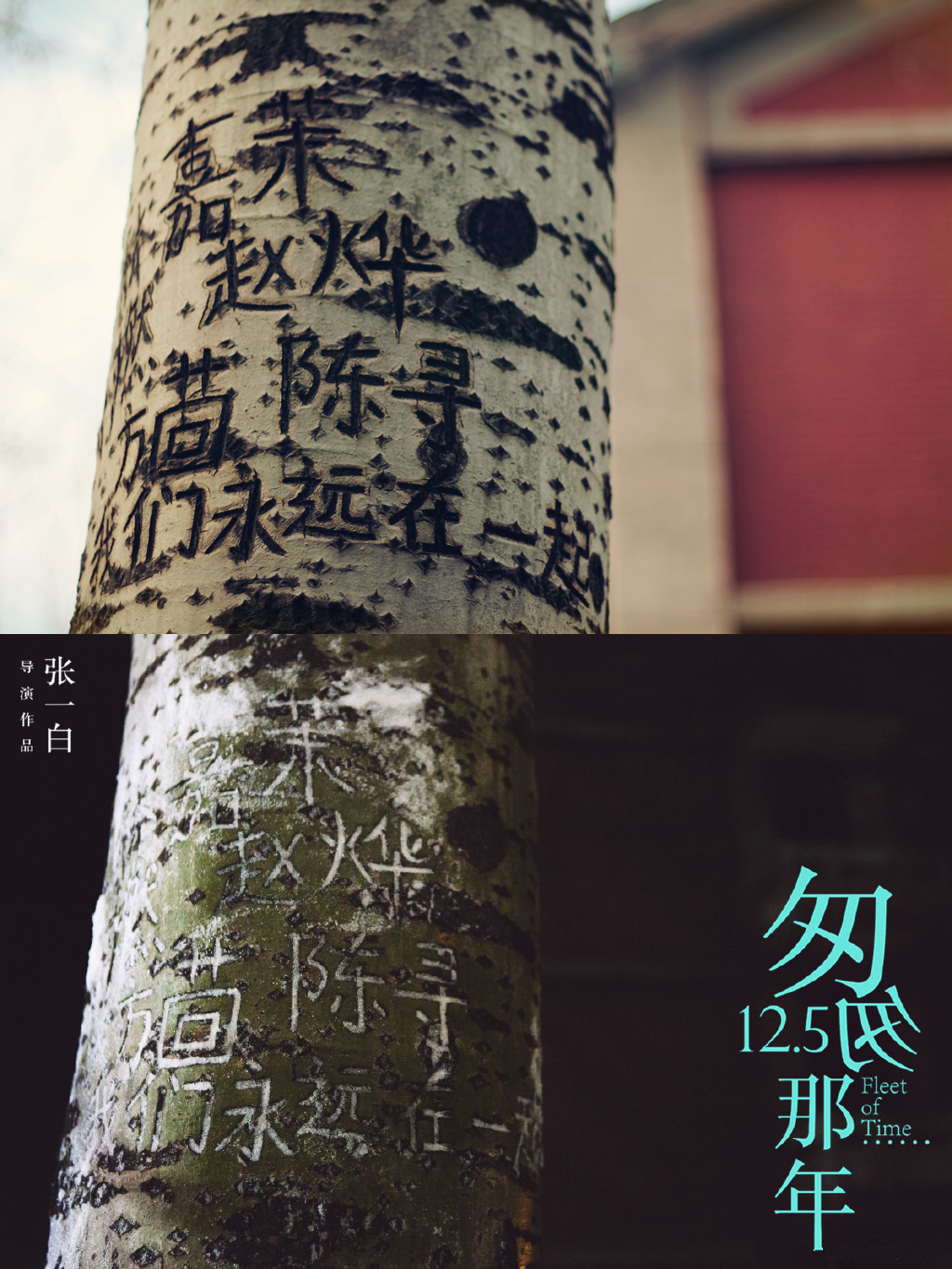 103821hkfvmjr2jzlvdfft.jpg