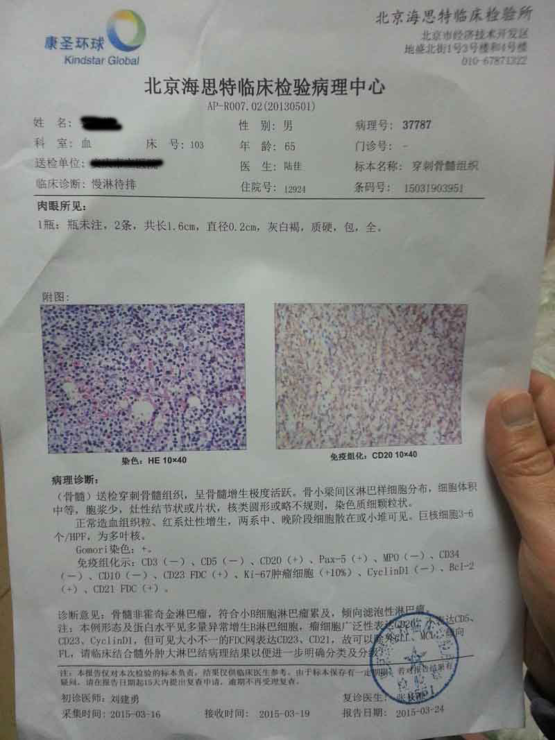骨髓检验病理.jpg