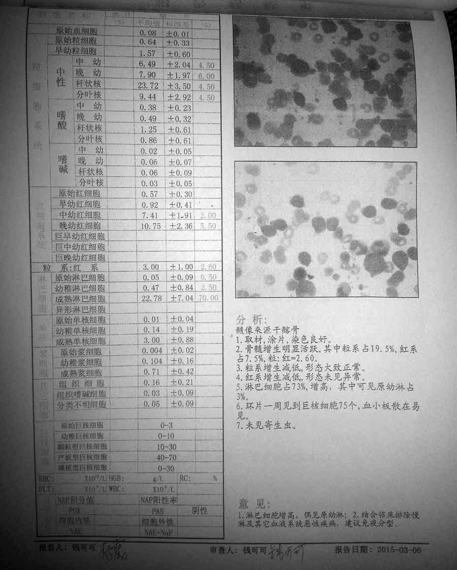 骨穿报告.jpg