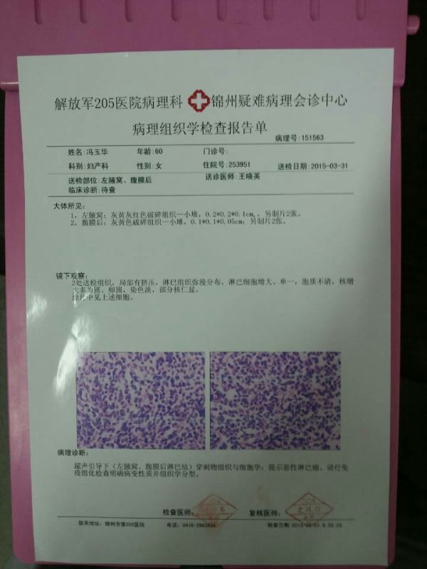 mmexport1427948144003.jpg