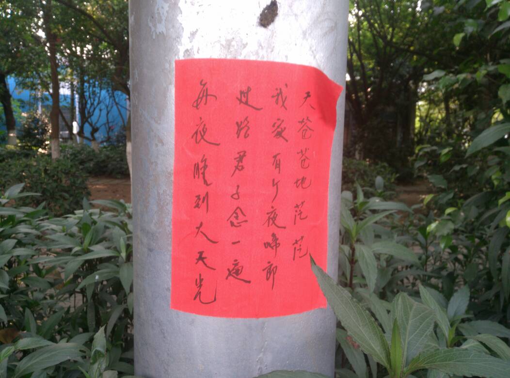 100906pogzdoe3ctcefo4e.jpg