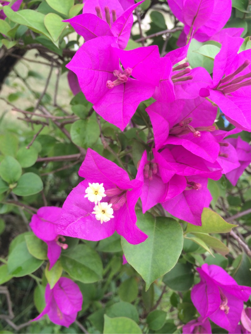 134503p6n96ozrlrzrnp4l.jpg